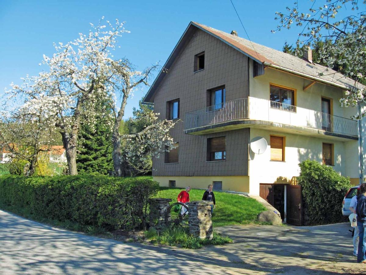 Haus Hollerbusch Apartment Neunburg vorm Wald Exterior foto