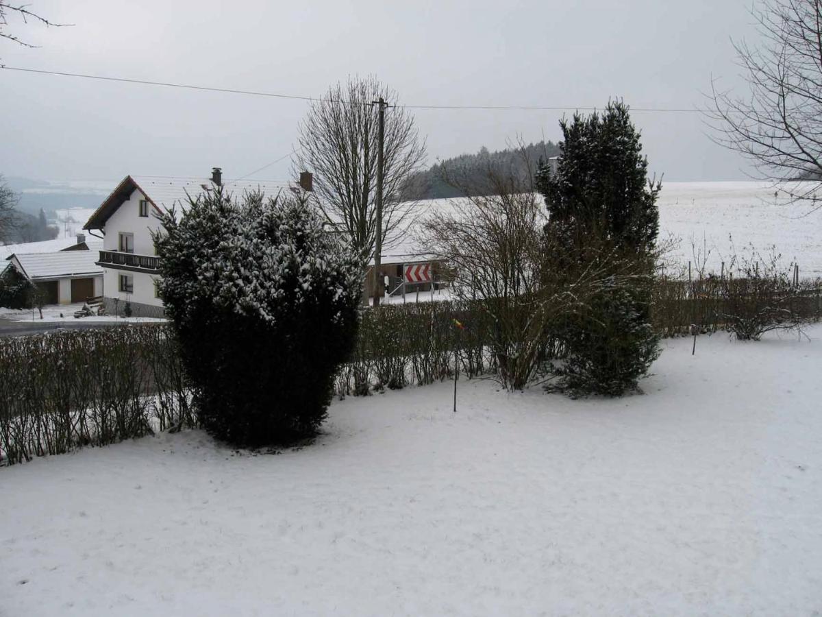 Haus Hollerbusch Apartment Neunburg vorm Wald Exterior foto
