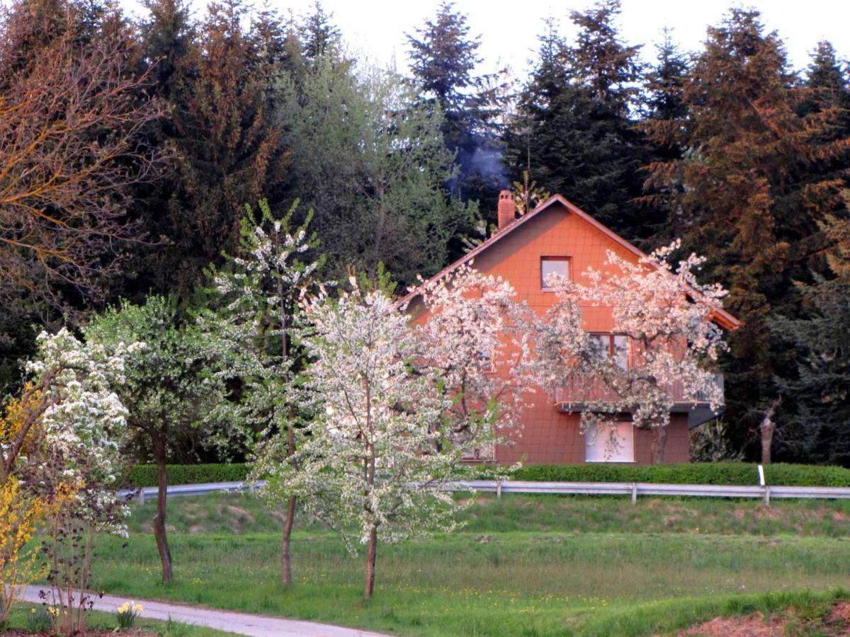 Haus Hollerbusch Apartment Neunburg vorm Wald Exterior foto